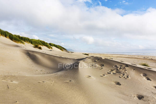 Nehalem Beach, sand dunes and footprints leading up a slope — Stock Photo