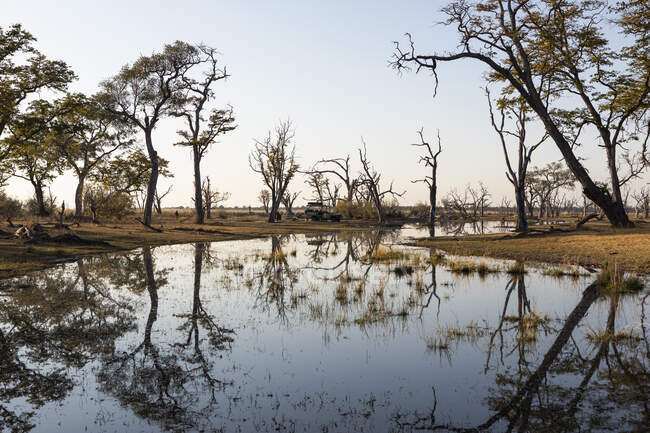 Paisagem, zonas húmidas, árvores refletidas em águas calmas — Fotografia de Stock