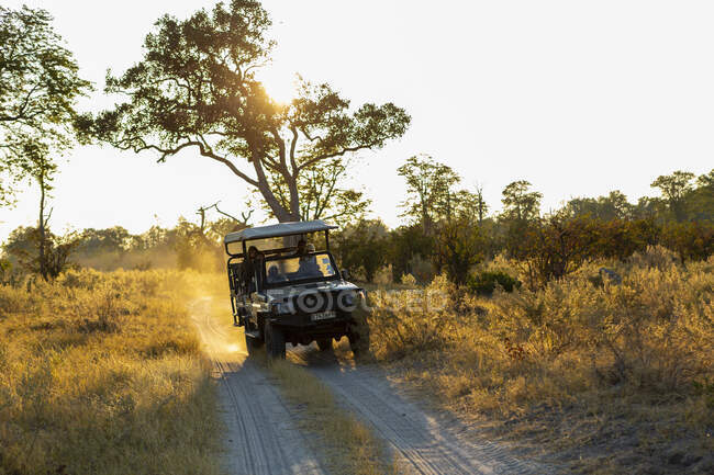 Safari jeep on a dirt road, a sunrise drive — Stock Photo
