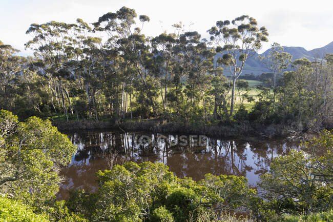 Klein River,Stanford,South Africa — Stock Photo