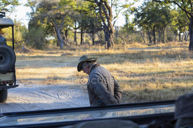 Сафарі гіда, що йде по дорозі попереду автомобіля на сході сонця . — стокове фото