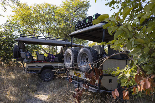 Due veicoli safari parcheggiati all'ombra degli alberi. — Foto stock