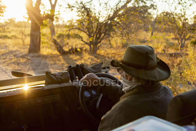 Un chauffeur conduisant une jeep à travers une réserve naturelle. — Photo de stock