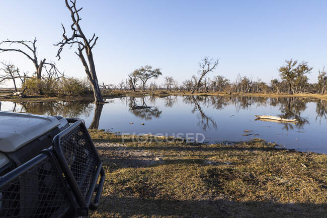 Landscape, wetlands, trees reflected in calm water — Stock Photo