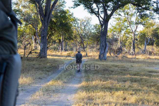 Um guia de safári caminhando em um caminho à frente de um veículo ao nascer do sol. — Fotografia de Stock