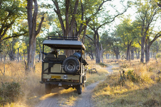 Une jeep safari voyageant le long d'un chemin à travers la brousse au lever du soleil. — Photo de stock