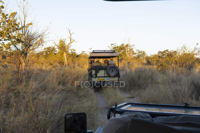 Ein Safari-Jeep mit Passagieren auf einer Sonnenaufgangsfahrt durch eine Landschaft. — Stockfoto