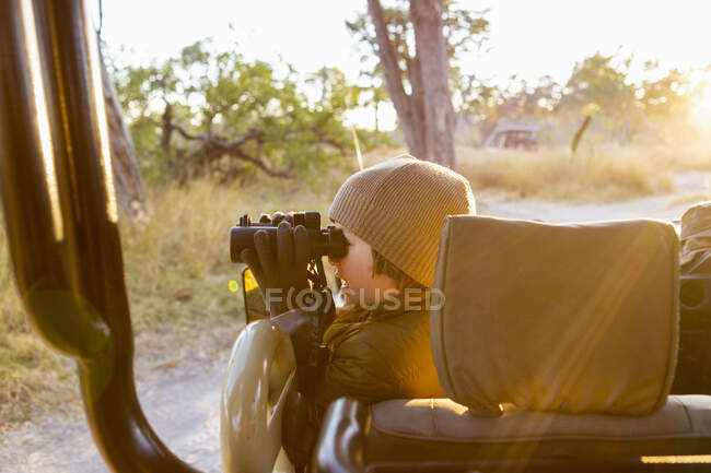 Un niño en un jeep usando prismáticos, un viaje al amanecer por los arbustos. - foto de stock