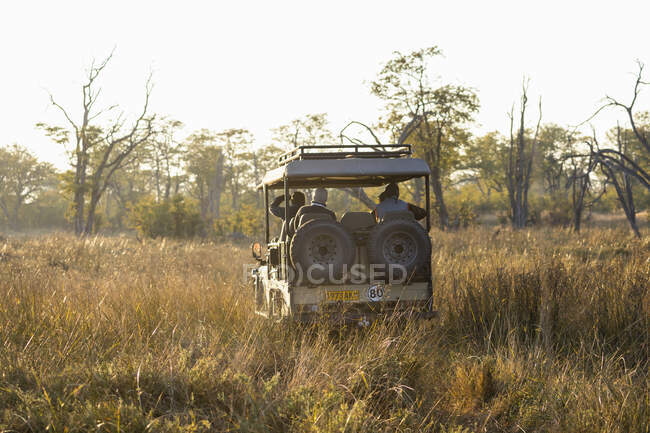 Un vehículo de safari en una unidad de juego de amanecer - foto de stock