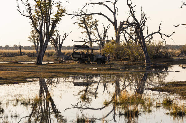 Bäume, Reflexion, Okavango-Delta, Botswana — Stockfoto
