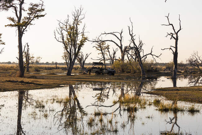 Paysage, milieux humides, arbres reflétés dans l'eau calme — Photo de stock