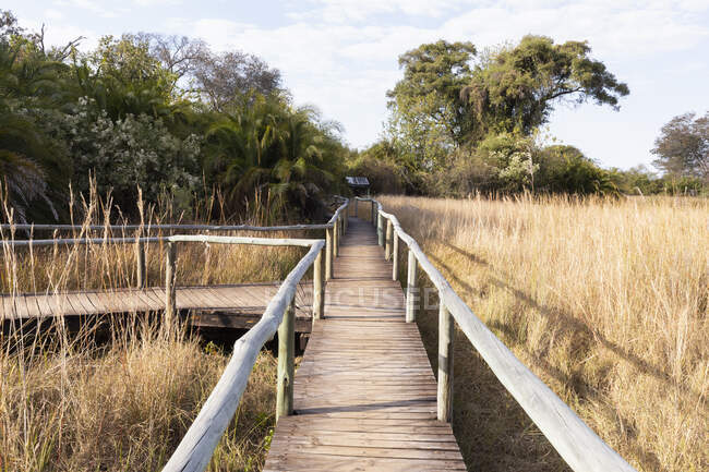 Wooden walkway across wetlands. — Stock Photo