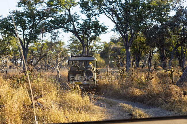 Ein Safari-Jeep mit Passagieren auf einer Sonnenaufgangsfahrt durch eine Landschaft. — Stockfoto