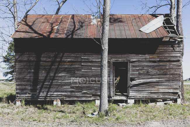 Abandoned wooden homestead with a rusting tin roof. - foto de stock