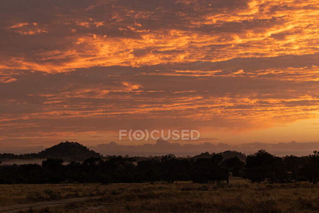 A sunrise over African savanna terrain — Stockfoto