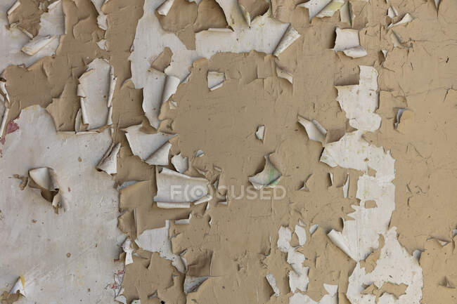 Close up of peeling paint on a building wall. — Fotografia de Stock