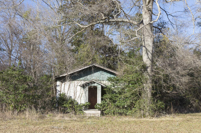 A rural homestead or small house abandoned and crumbling, overgrown with plants and shrubs. — Stock Photo