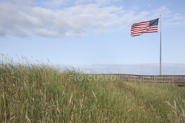 American flag flying in grassland. - foto de stock