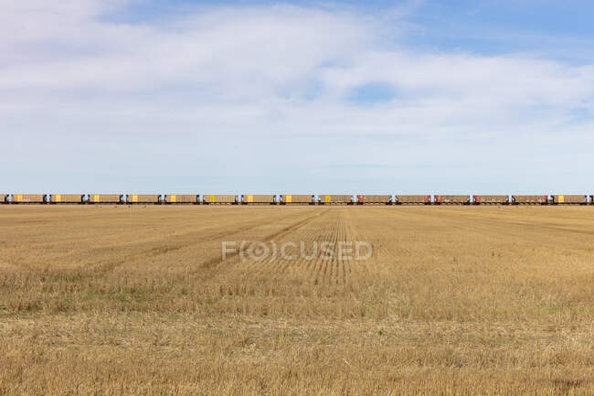 Vue à travers un champ de chaume et la longue file de wagons couverts jaunes d'un train de marchandises sur la ligne d'horizon. — Photo de stock