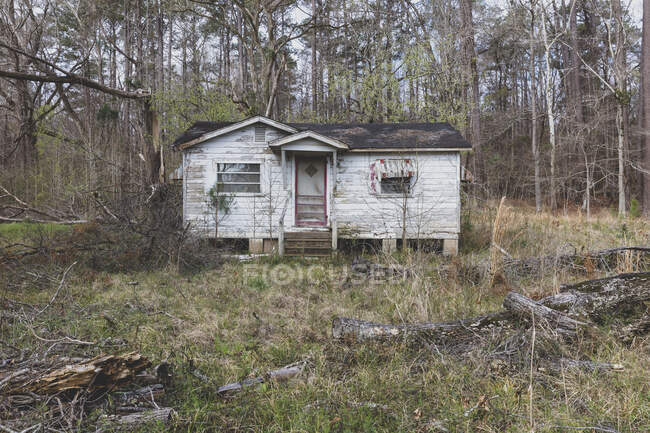 A rural homestead or small house abandoned and crumbling, overgrown with plants and shrubs. — Stock Photo