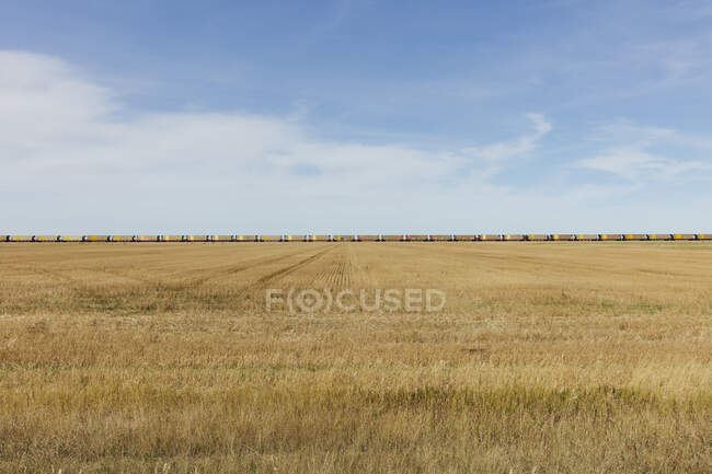 View across a stubble field and the long line of yellow boxcar wagons of a freight train on the horizon line. — Fotografia de Stock
