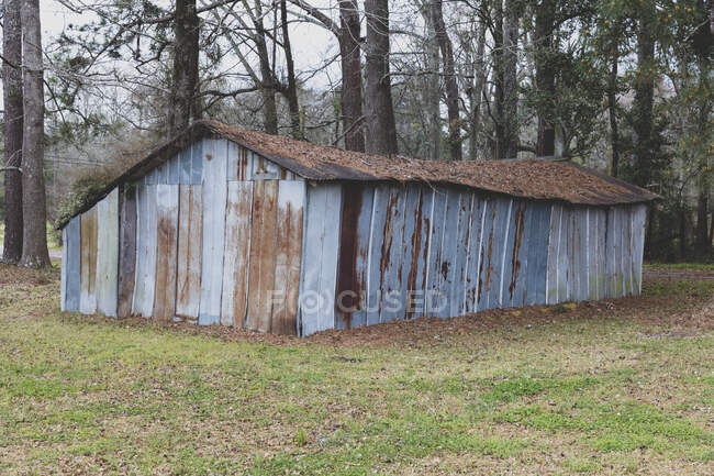 Abandoned blue barn with a rusting tin roof in woodland. — Fotografia de Stock