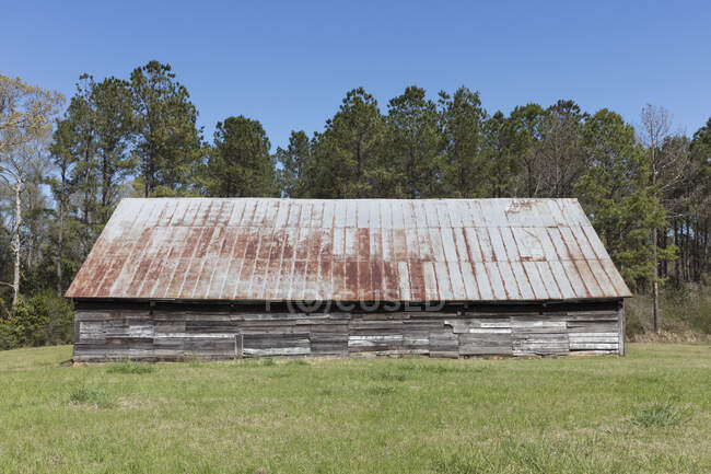 Edifício remoto, um celeiro com um telhado enferrujado em um campo. — Fotografia de Stock