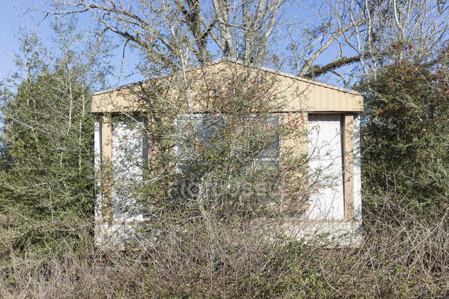 Abandoned trailer home with shrubs and saplings growing up over it. — Stock Photo