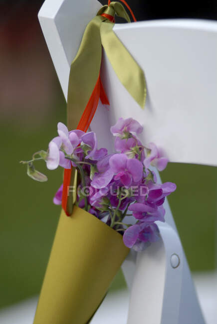 Sedia da festa di nozze, un cono di carta di piselli dolci color lavanda. — Foto stock
