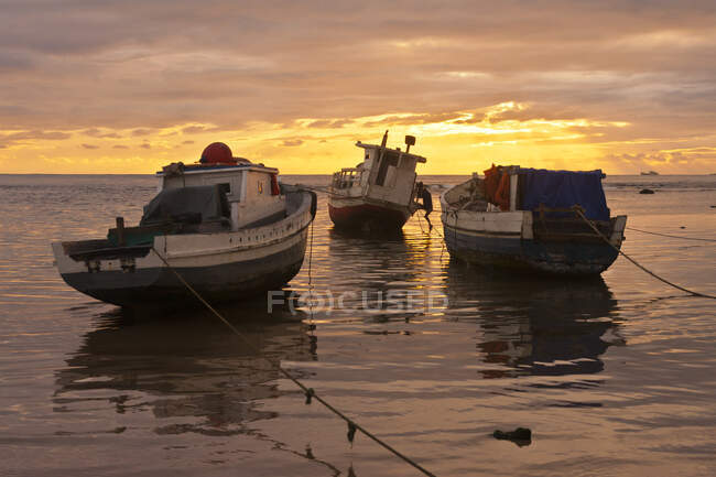 Рибальські човни на заході сонця, причаєні у мілководді — стокове фото