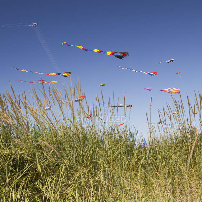 Colorful kites flying in a breeze. — Photo de stock