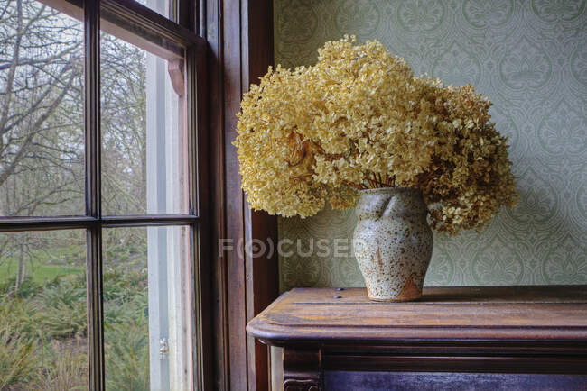 Getrocknete Blumen in einer Vase im Regal am Fenster. — Stockfoto