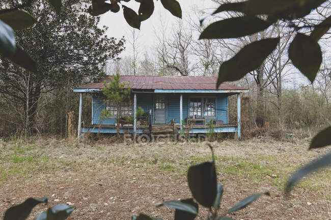 A rural homestead or small house abandoned and crumbling, overgrown with plants and shrubs. — Stockfoto
