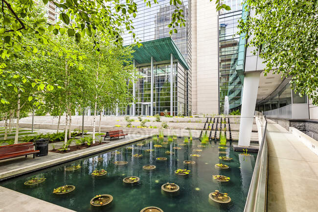 A city square in Seattle, a plaza with trees and water pool with plants. — Stockfoto