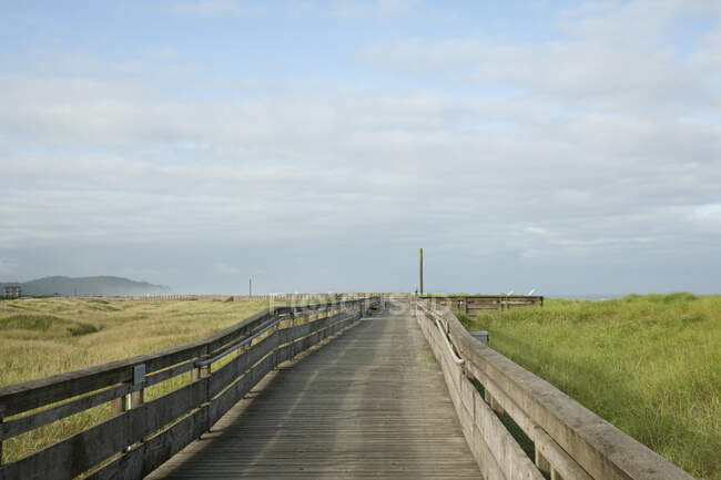 Boardwalk through grassland with mountains. — Fotografia de Stock