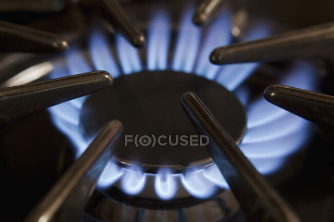 Primer plano de encimera de gas con el quemador encendido. Energía, calor y energía. Llamas azules - foto de stock