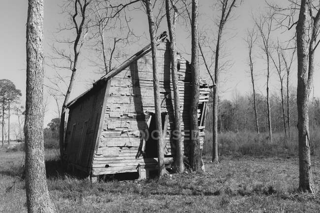 Abandoned homestead, a small log cabin, a building leaning to the side — Fotografia de Stock