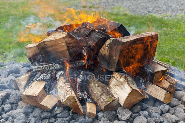 A wood fire with flames. - foto de stock