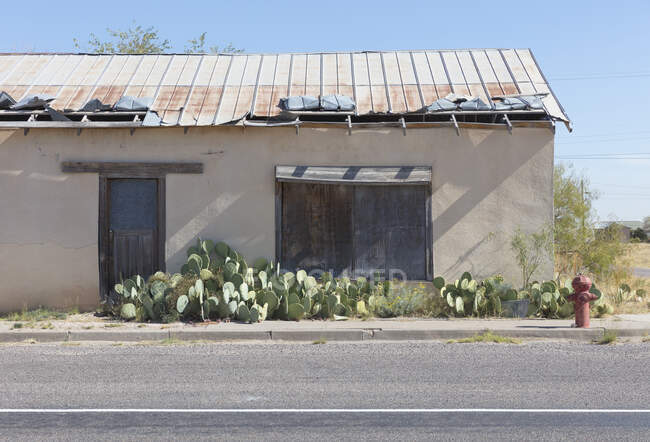 Edificio abandonado, cactus y boca de incendios - foto de stock