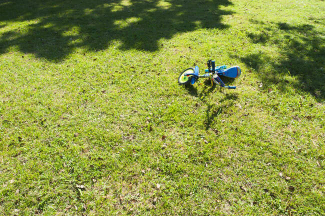 A small two wheeled decorated child's bicycle on its side on the grass. - foto de stock