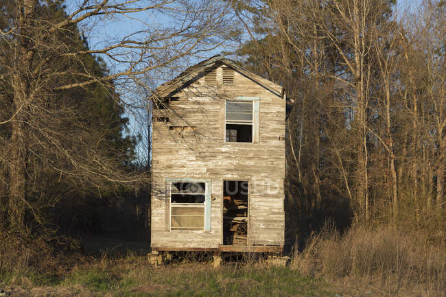 A rural homestead or small house abandoned and crumbling, overgrown with plants and shrubs. — Foto stock