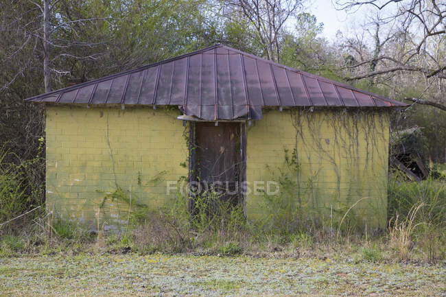 Abandoned building with overgrown foliage. — Stockfoto