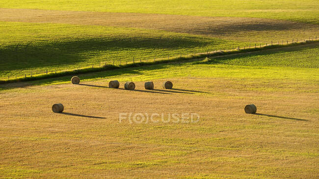 Un campo de fardos redondos de heno, hierba seca corta y una cerca. - foto de stock
