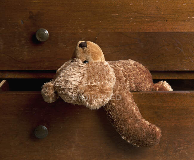 Детский бурый мягкий игрушечный плюшевый мишка, свисающий из ящика. — стоковое фото