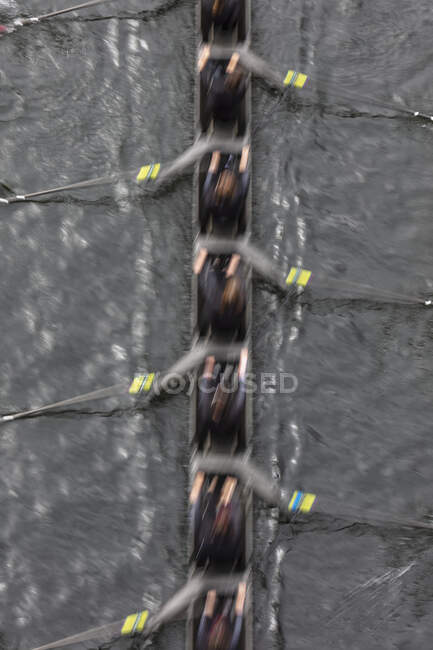 Overhead view of female crew racers rowing in an octuple racing shell, an eights team. — Stock Photo