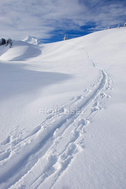 Un conjunto de pistas de esquí de nieve en la superficie de una pendiente cubierta de nieve en las montañas, marcas de postes junto - foto de stock