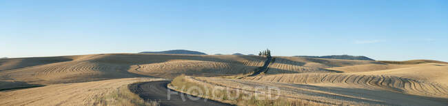 Vista panorâmica das terras agrícolas de Palouse, uma estrada de blacktop e terras agrícolas onduladas com campos de restolho. — Fotografia de Stock