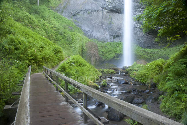 Latourell Falls, una cascata che scende dalle scogliere nella gola del fiume Columbia, una passerella di legno. — Foto stock