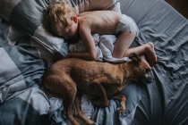 Niño abrazándose en la cama con su perro - foto de stock