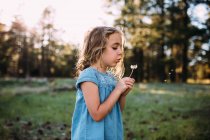 Красивая маленькая девочка, дующая в одуванчик — стоковое фото
